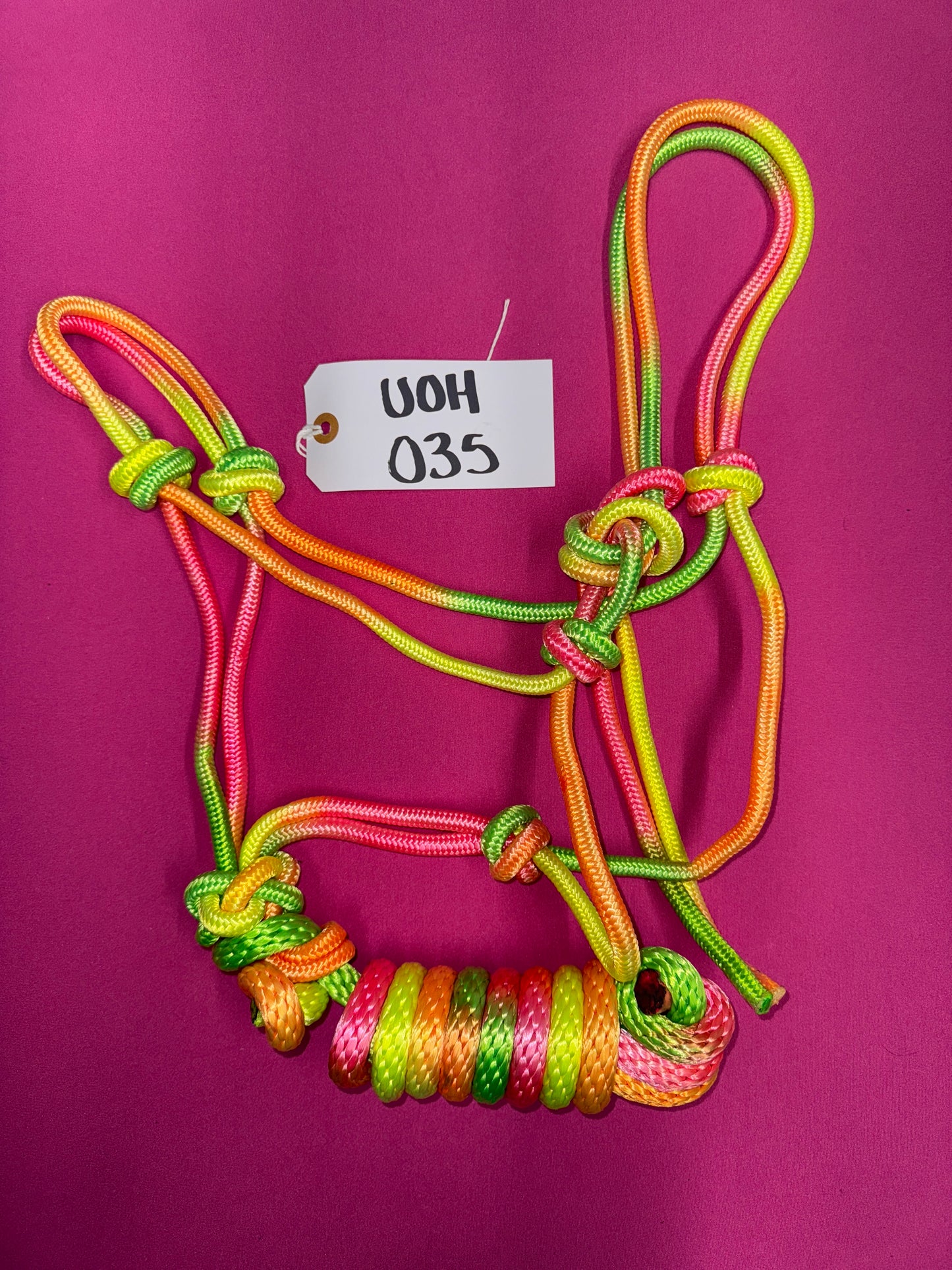 Neon Colored Rope Halter and Lead New Condition
